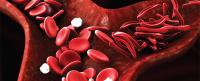 Illustration of red blood cells, including sickle-shaped cells, within a blood vessel.